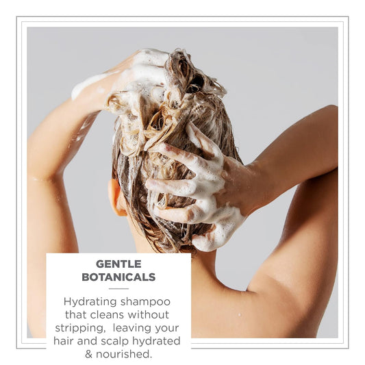 Zents Balancing Shampoo, Color Safe and Sulfate-Free with Organic Shea Butter & Lotus for All Hair Types, 10