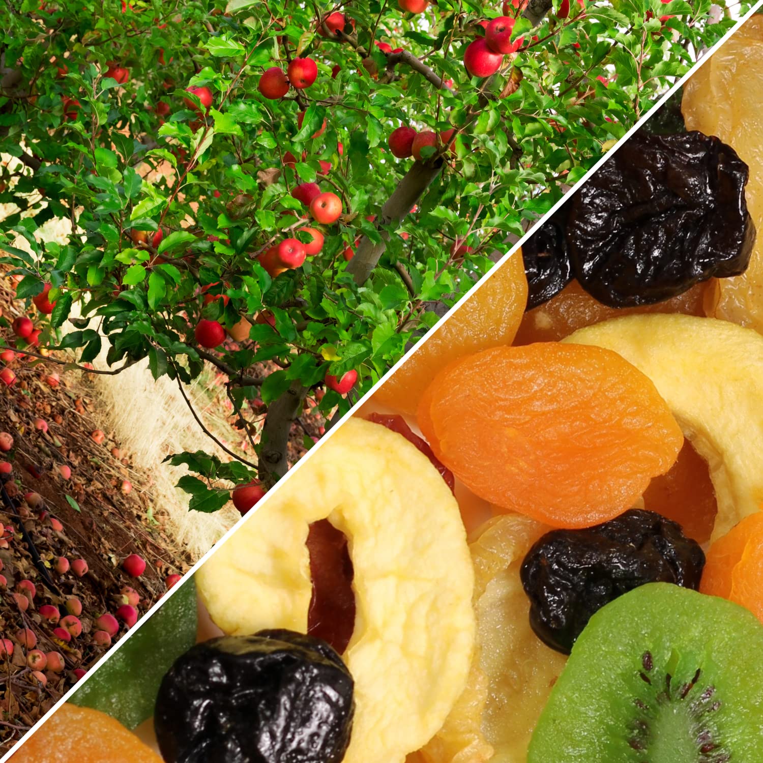 Dried Mixed Fruit with Prunes by It's Delish, 2 lbs (32 Oz)