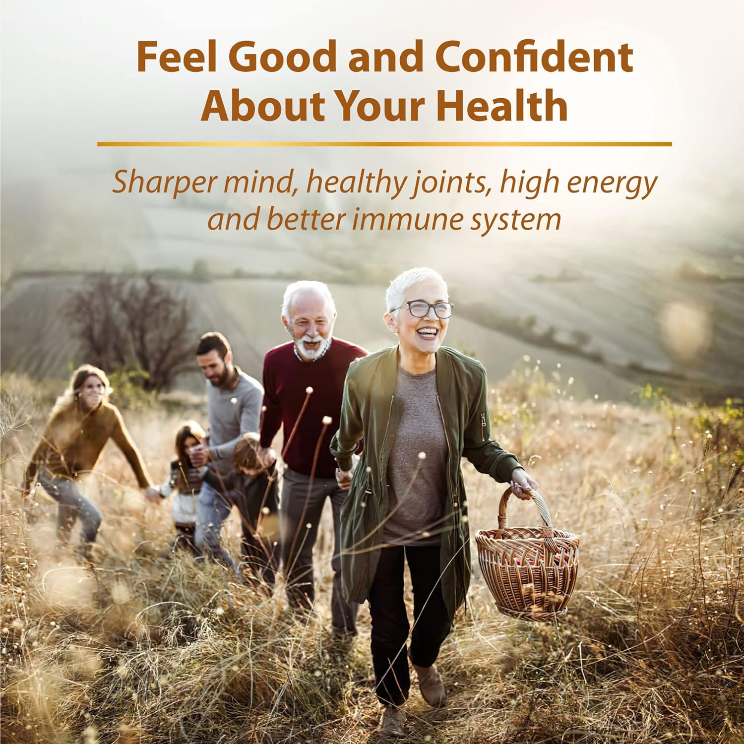 Zenith Labs Omega 379 with Krill - Combines EPA, DHA, Omega