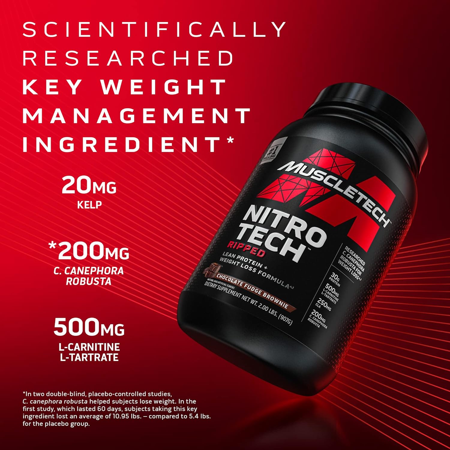 Protein Powder for Weight Loss - MuscleTech Nitro-Tech Ripped - Whey P