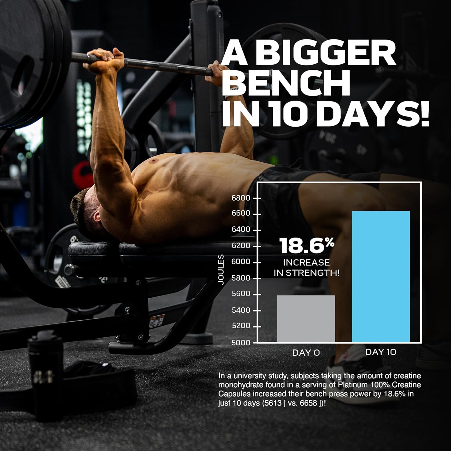 MuscleTech Platinum 100% Creatine Pills | Creatine Monohydrate Pill| |