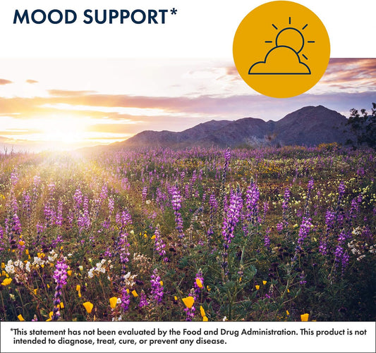 Metabolic Maintenance Metacalm - Neurotransmitter Support With Gaba, 58 Ounces