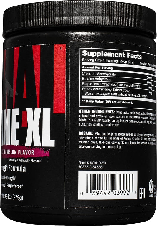 Animal Creatine Xl Powder  Enhanced Creatine Monohydrate Su