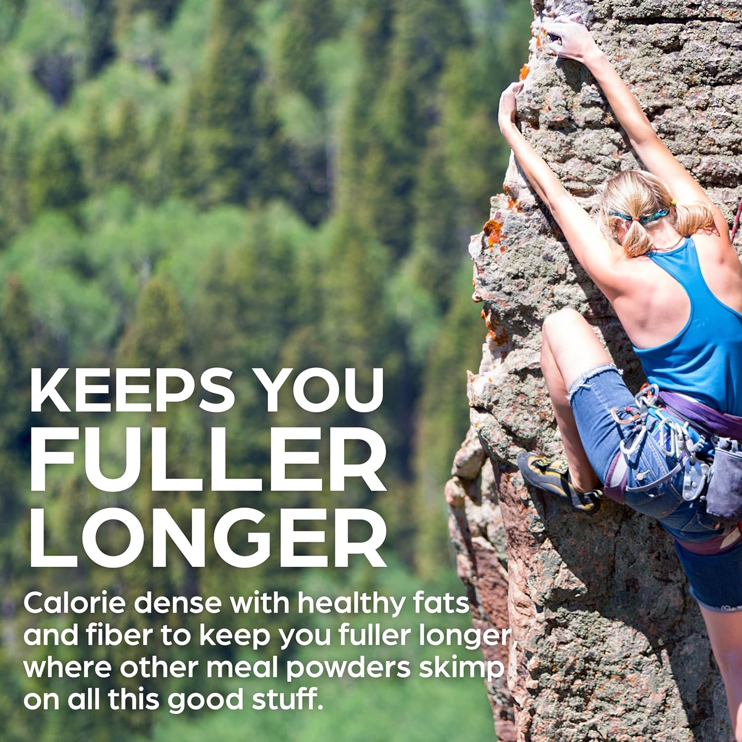 Orgain Organic Perfect Meal Replacement Protein Powder, Vani