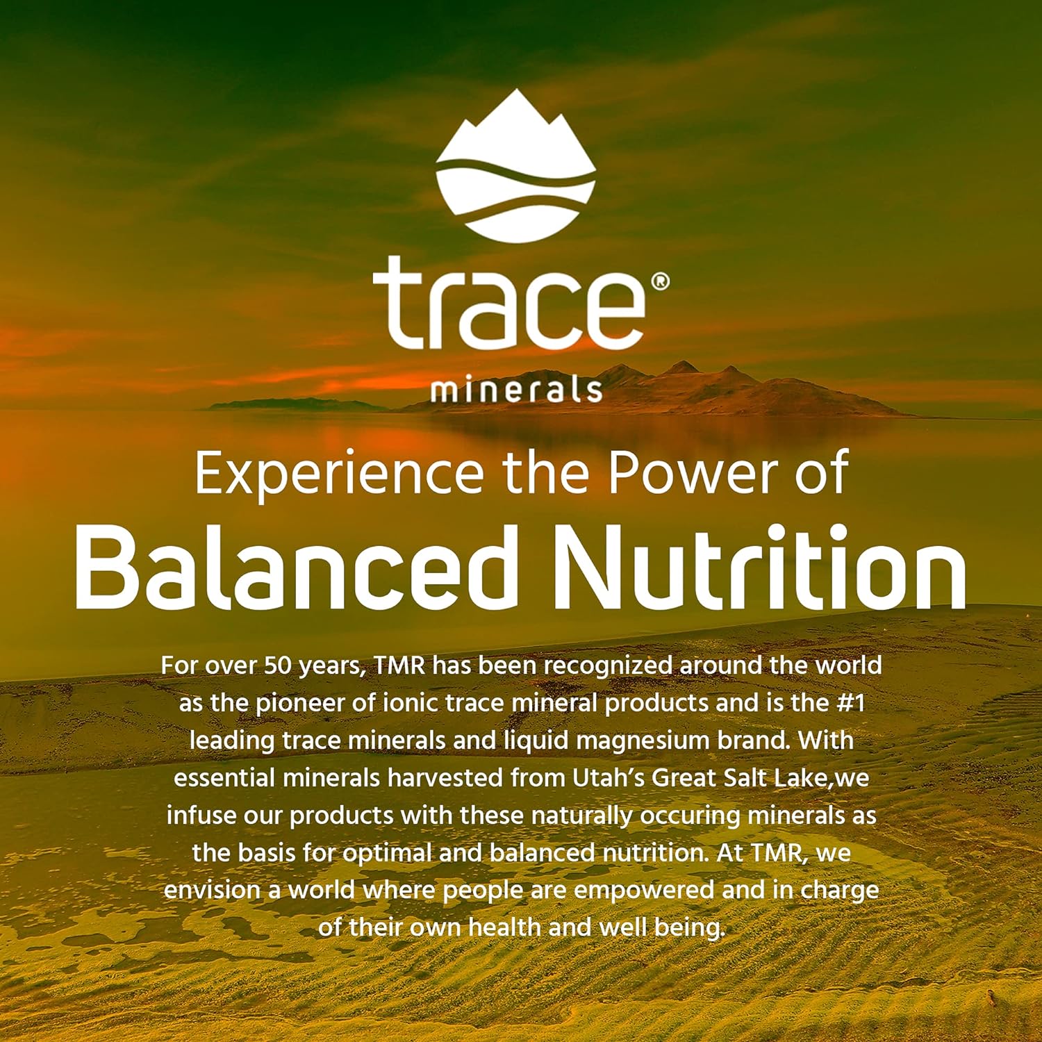 Trace Minerals | Hydration I.V. Electrolyte Drink Packs | Full Spectru