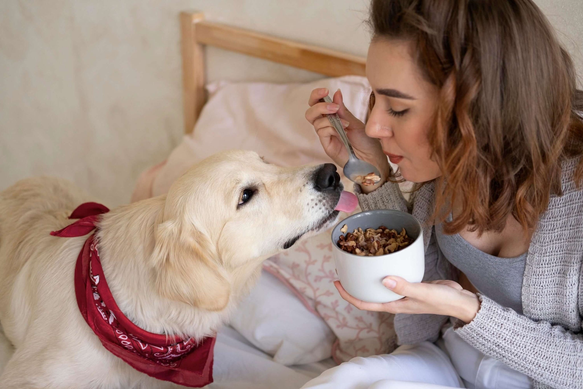 Chewy Delights: Satisfying Your Dog's Hunger with Love