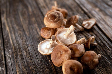 When to Take Mushroom Supplements for Best Results