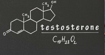 Top Testosterone Myths to Leave Behind in 2024