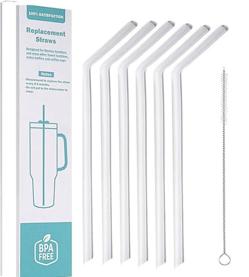 Hydro Flask Wide Mouth Straw Replacements – 6 BPA-Free Straws with Cleaning Brush & Box (6 Pack + Brush + Storage Box)