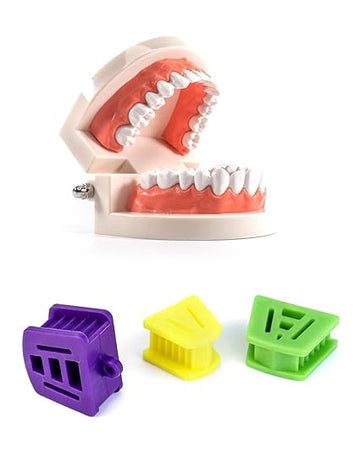 Dental Silicone Bite Blocks – Multi-Size Mouth Props for Kids & Adults | Durable Dental Mouth Opener for Teeth Clenching & Jaw Support (3 Pcs –L,M,S)