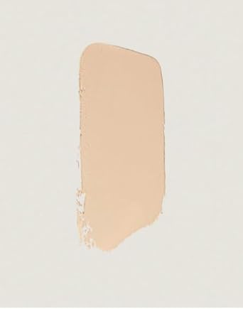Merit The Minimalist Perfecting Complexion Foundation And Concealer Stick Silk : Beauty & Personal Care