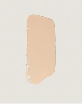 Merit The Minimalist Perfecting Complexion Foundation And Concealer Stick - Ochre (Light Medium With Warm Undertones) 0.23 Oz / 6.S G : Beauty & Personal Care