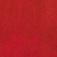 Nicka K Lipstick With Vitamin E Ruby Red #100 : Matte Lipstick Red : Beauty & Personal Care