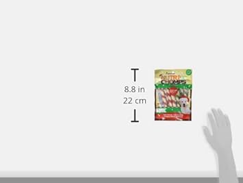 NutriChomps Dog Chews, 5-inch Holiday Twists, Mint, 10 Count, red/Green, (NT105V)