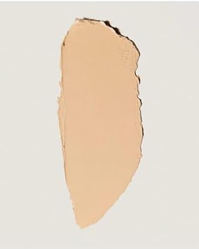 Merit The Minimalist Perfecting Complexion Foundation And Concealer Stick - Ecru (Light With Peach Undertones) 0.23 Oz / 6.S G : Beauty & Personal Care
