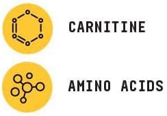 Beyond Raw Chemistry Labs L-Carnitine Powder, Fuels Exercise And Supports Recovery, 30 Servings : Health & Household