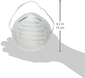 BodyGear Dust Mask, Package of 5