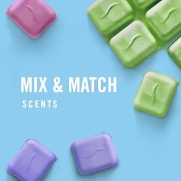 Febreze Wax Melts Air Freshener, Limited Edition, Watermelon Scent - 6 Wax Cubes Per Package (Pack of 3) : Sports & Outdoors