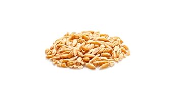 Yupik Organic Kernels, Spelt, 2.2 lb, Pack of 1