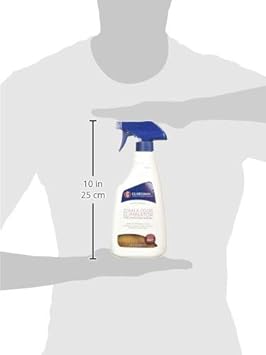 Guardsman 462600 Stain & Odor Eliminator for Fabric Removes Stains, Grease, Red Wine, Pet Stains,16 Oz Spray : Health & Household