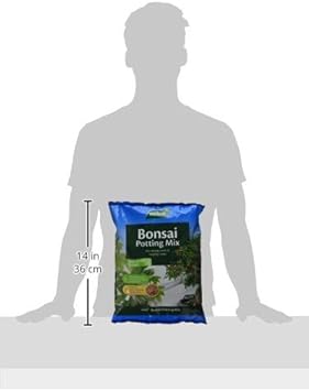 Westland 10200055 Bonsai Potting Compost Mix and Enriched with Seramis, 4 Litre, Brown :Garden