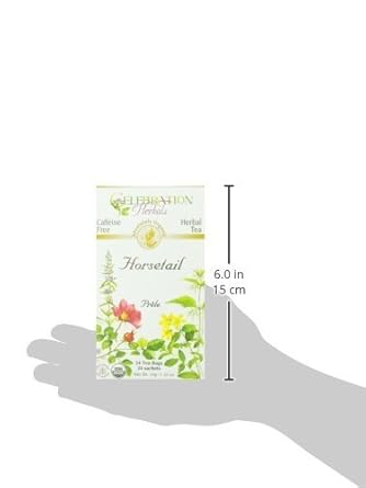 Celebration Herbals Organic Horsetail Tea Bags 24 Count : Grocery & Gourmet Food