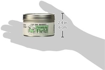 From The Field 1-Ounce Can You Resist Catnip Kitty Safe Stalkless Tin Can : Catnip Treats : Pet Supplies