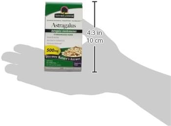 Nature'S Answer Astragalus Root Vegetarian Capsules, 60-Count