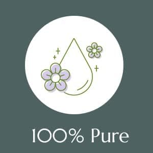 Plant Therapy Christmas Tree Holiday Essential Oil Blend 100% Pure, Undiluted, Natural, Therapeutic Grade 10 mL (1/3 oz) : Health & Household