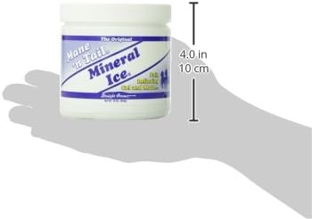 Mineral Ice Therapeutic Pain Reliever for Horses 16 Ounce