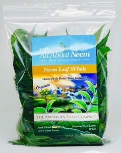 Organic Neem Leaves | WHOLE Fresh Wild Harvested Shade Dried Premium | 5 Oz for Tea, Natural Detox USA