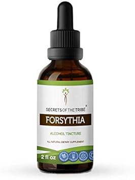 Forsythia Tincture Alcohol Extract, Made With Organic Forsythia (Lian Qiao, Forsythia Suspensa) Dried Fruit 2 Fl Oz