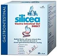 (4 PACK) - Hubner - Silicea Gastro Intestinal Gel | 15x15ml sachet | 4 PACK BUNDLE