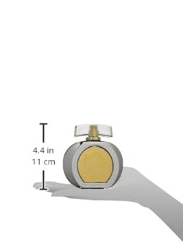 Nuparfums Group Silver Lace Eau De Parfum Spray, 3.4 Ounce : Beauty & Personal Care