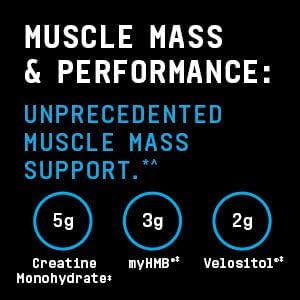 Beyond Raw Dynamic Gainer | High-Tech Mass Gainer | Optimized Absorption, Enhanced Strength, And Joint Stability | Strawberry Shortcake | 15 Servings : Health & Household