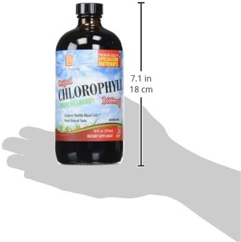 L A NATURALS Chlorophyll 100mg from Mulberry Leaf, 0.02 Pound