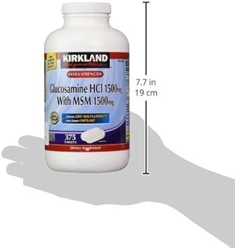 Kirkland Signature Glucosamine with MSM, 375 Tablets (2 Pack) : Health & Household