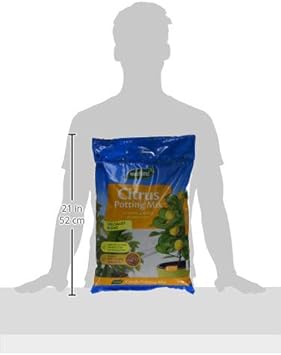 Westland Citrus Potting Compost Mix and Enriched with Seramis, 8 L :Garden