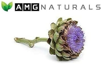Artichoke Extract Capsules from Artichoke Leaf with Over 7mg of Cynarin A Great Source for Glucuronic Acid Content to Support Optimal Digestive Health and Estrogen Metabolism - Package May Vary : Health & Household