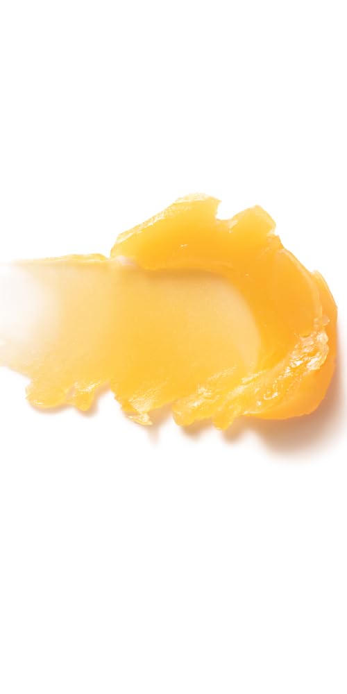 Dr. Hauschka Lip Care Stick, 0.17 Oz : Dr. Hauschka: Beauty & Personal Care