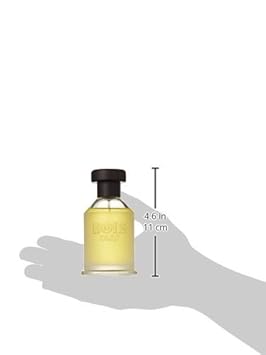 Bois 1920 Vetiver Ambrato Eau De Toilette Spray 100Ml/3.4Oz : Beauty & Personal Care