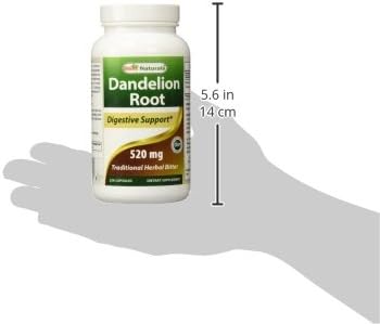 Best Naturals Dandelion Root 520 Mg 250 Capsules : Health & Household