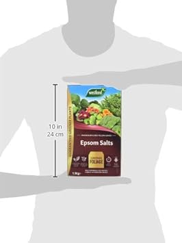 Westland 20600007 1.5 kg Epsom Salts Foliage Greener Fertilizer - Transparent :Garden