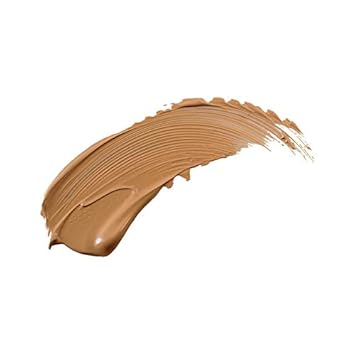 Perfection Multi-Use Concealer (Color - Caramel Fcpf04) : Beauty & Personal Care