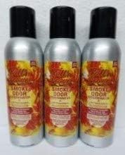 Smoke Odor Exterminator 7 oz Large Spray Fall N Leaves Spray, (3) : Health & Household