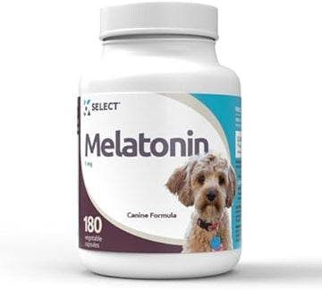 K9 Select Melatonin For Dogs, 1 Mg - 180 Vegetable Capsules - Dog Melatonin For Small Breeds - Gentle Well-Being Enhancer - Healthy, Tasty Dog Treats That Helps Overall Health