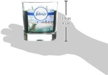 Febreze Scented Candle Fresh Cut Pine Air Freshener (1 Count, 4.3 Oz), 0.269 Pound : Everything Else
