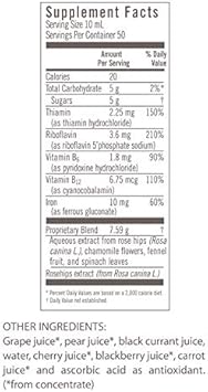 Floravital Liquid Iron Supplement + Herbs 17 Ounce LARGE - Vegan, Non GMO & Gluten Free - Non Constipating, Yeast Free for Men & Women : Health & Household