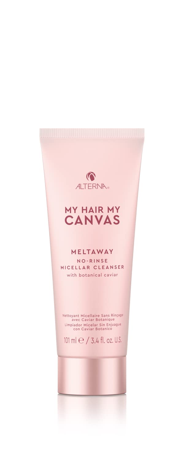 Alterna My Hair My Canvas Meltaway No-Rinse Micellar Cleanser 3.4 Fl Oz | Vegan | Fast Drying Creme-To-Powder Cleanser, Absorbs Oil & Sweat For Shower Clean Hair | Peta Tested, 3.4 Fl. Oz