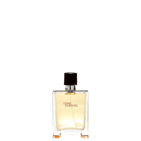 Terre D'Hermes/Hermes Edt Spray 1.7 Oz (M) : Beauty & Personal Care